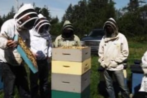 Honey Farm Latest Buzz For StFX Partnership