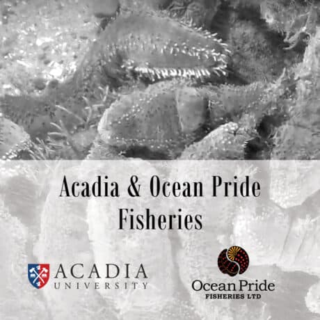 Acadia & Ocean’s Pride Fisheries logo
