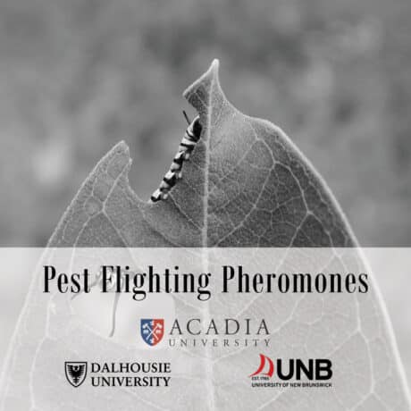 Pest Fighting Pheromones