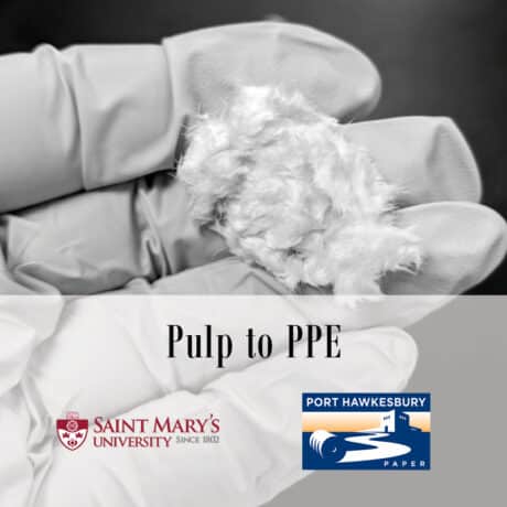 Pulp to PPE logo